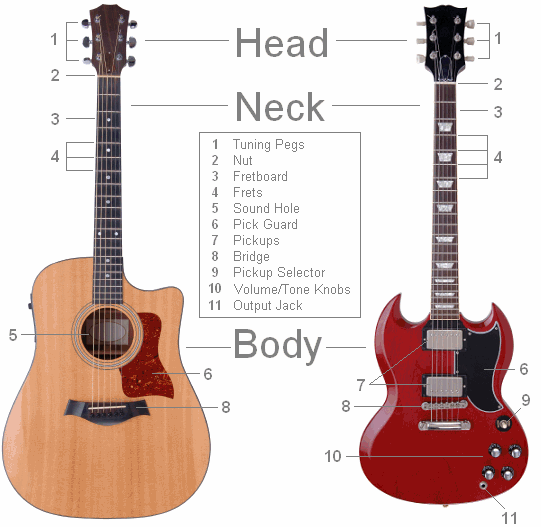Parts of the Guitar Clearest Guitar Parts Diagram & Lesson