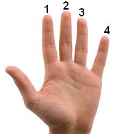 fingers numbered 1 to 4