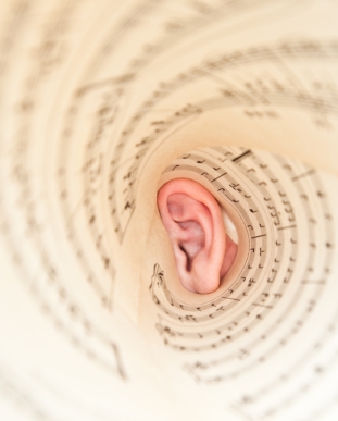 the inner ear