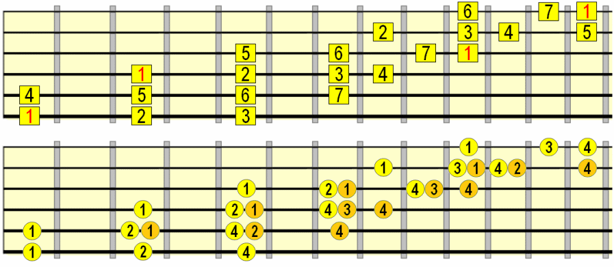 major scale across the fretboard