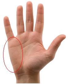 the part of your hand used to mute strings, just below the pinky finger