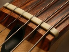 guitar nut guitar nut