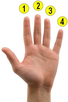 finger numbers