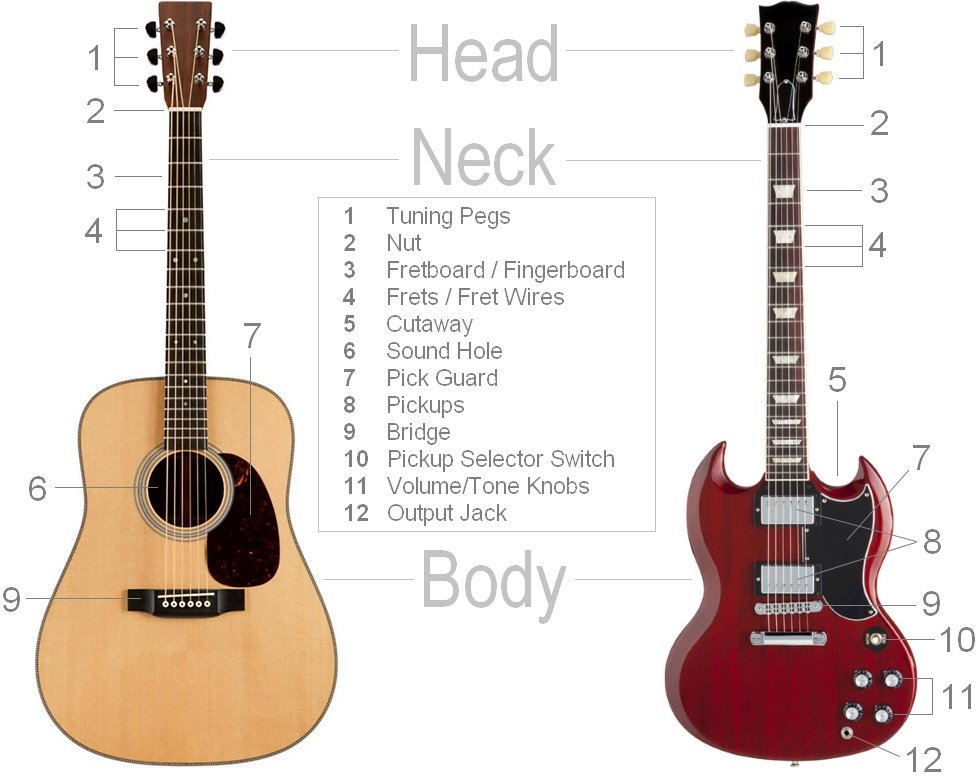 guitar parts diagram showing both acoustic and electric guitar